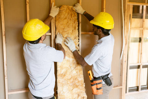 Best Insulation for New Construction  in New Market, MD